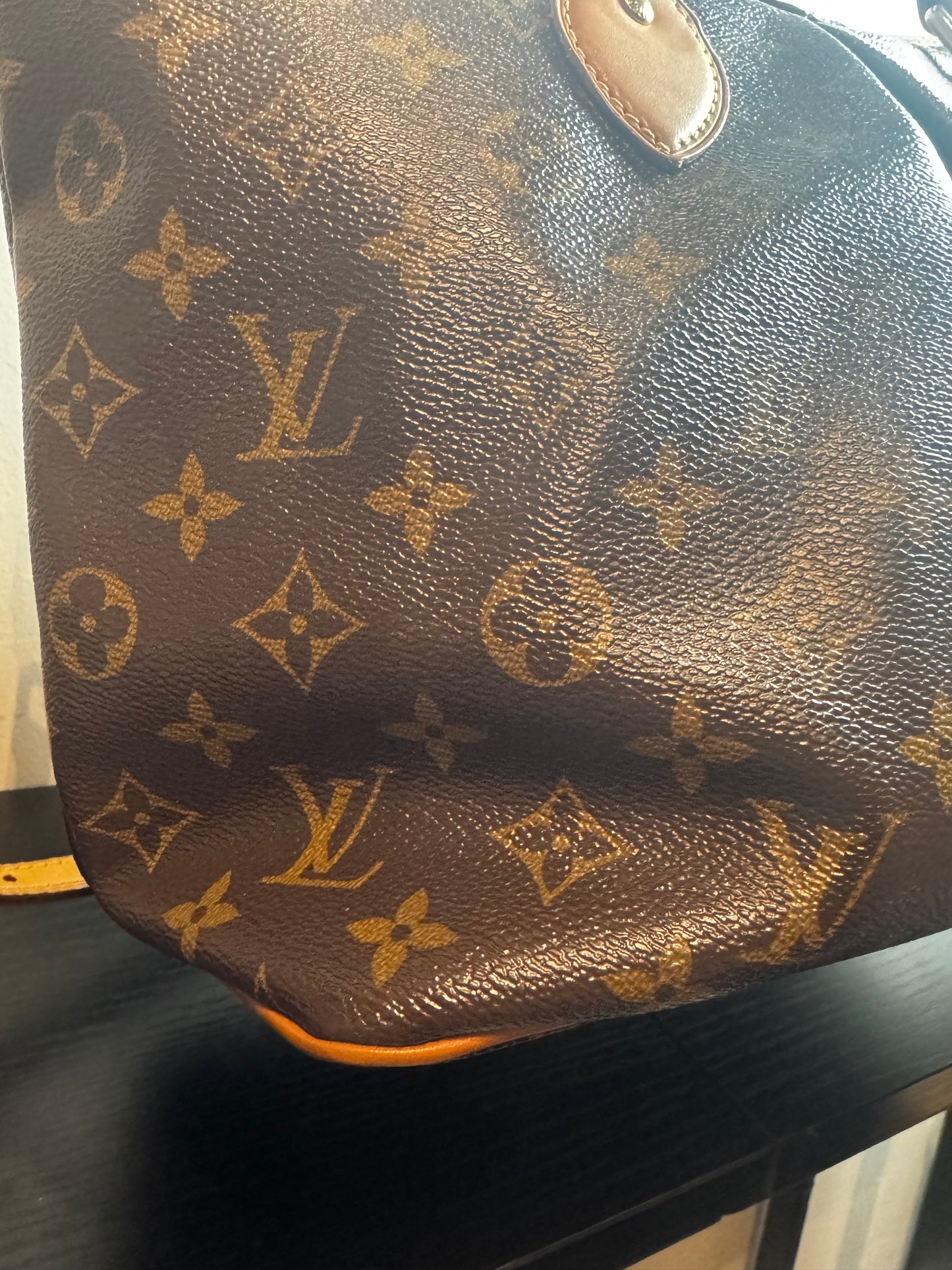 Louis Vuitton Monogram Palermo