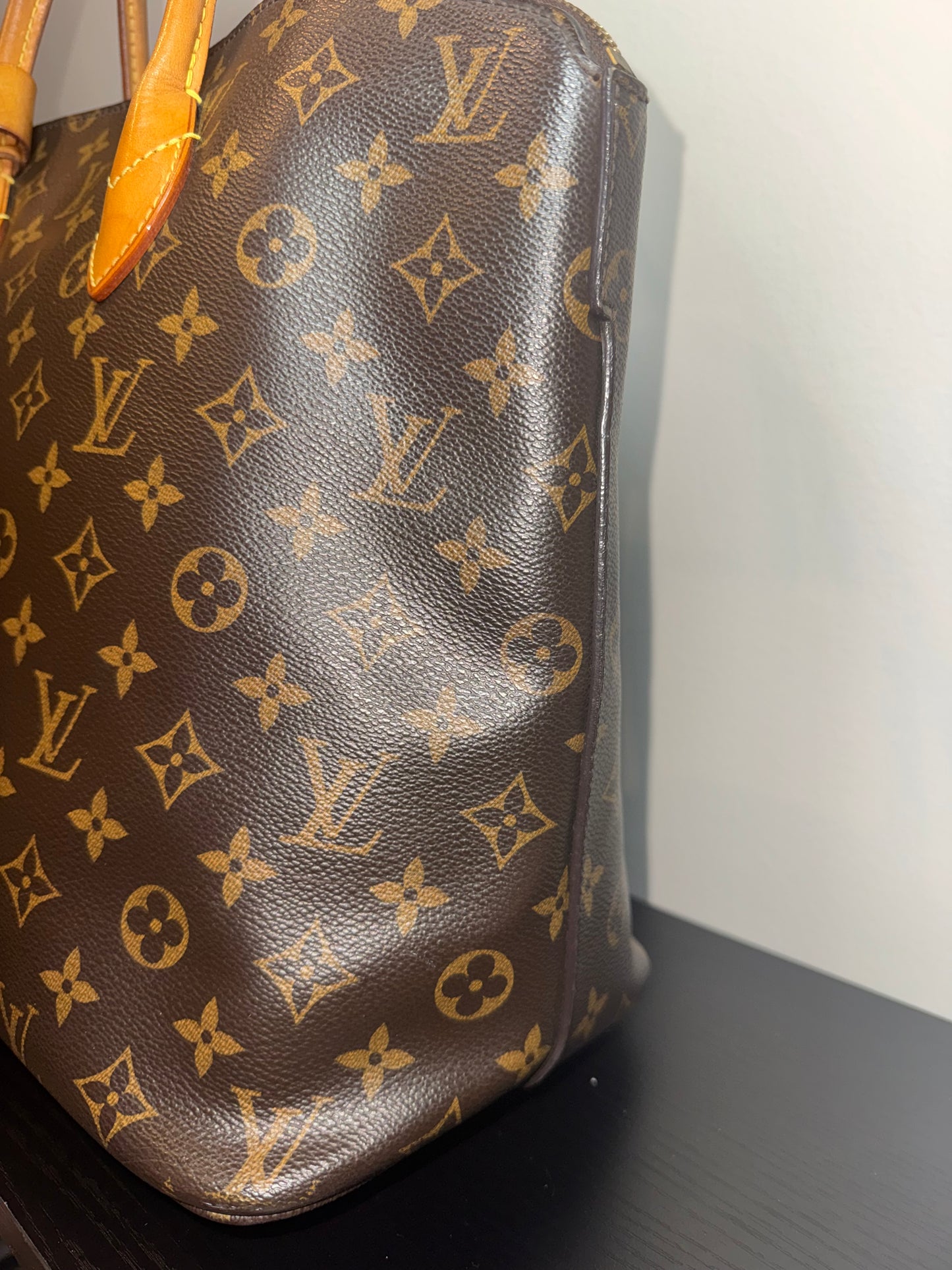 Louis Vuitton Monogram Canvas Lockit