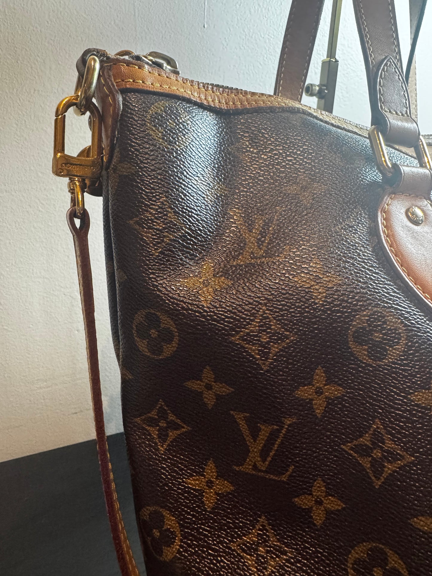 Louis Vuitton Monogram Palermo