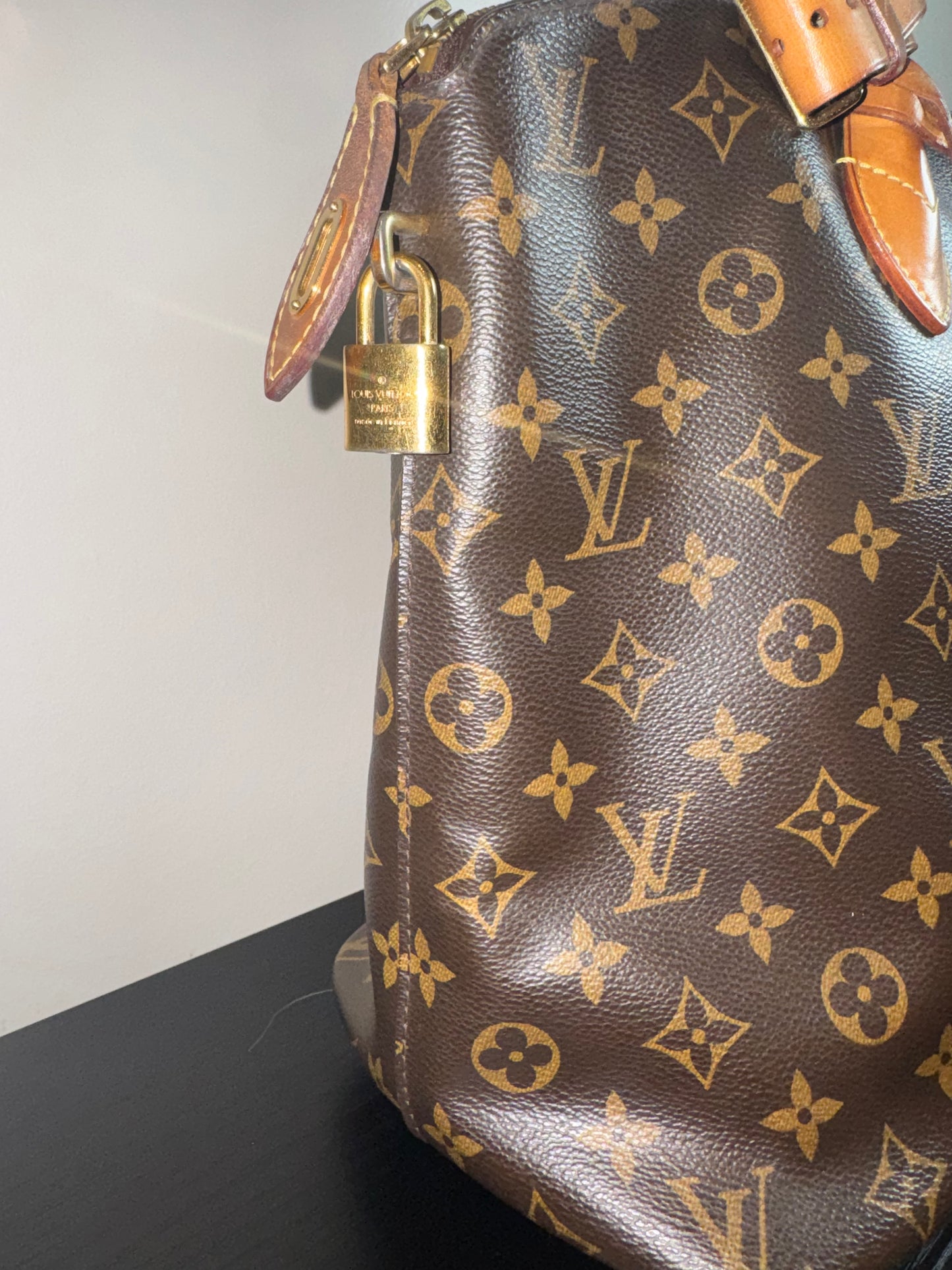 Louis Vuitton Monogram Canvas Lockit