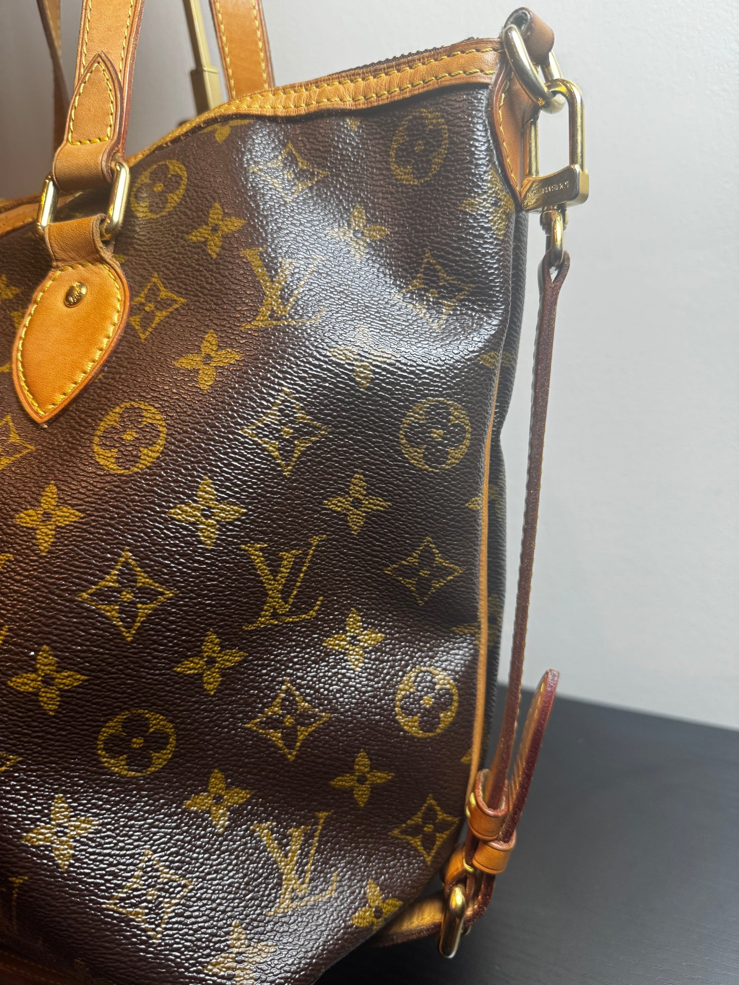 Louis Vuitton Monogram Palermo