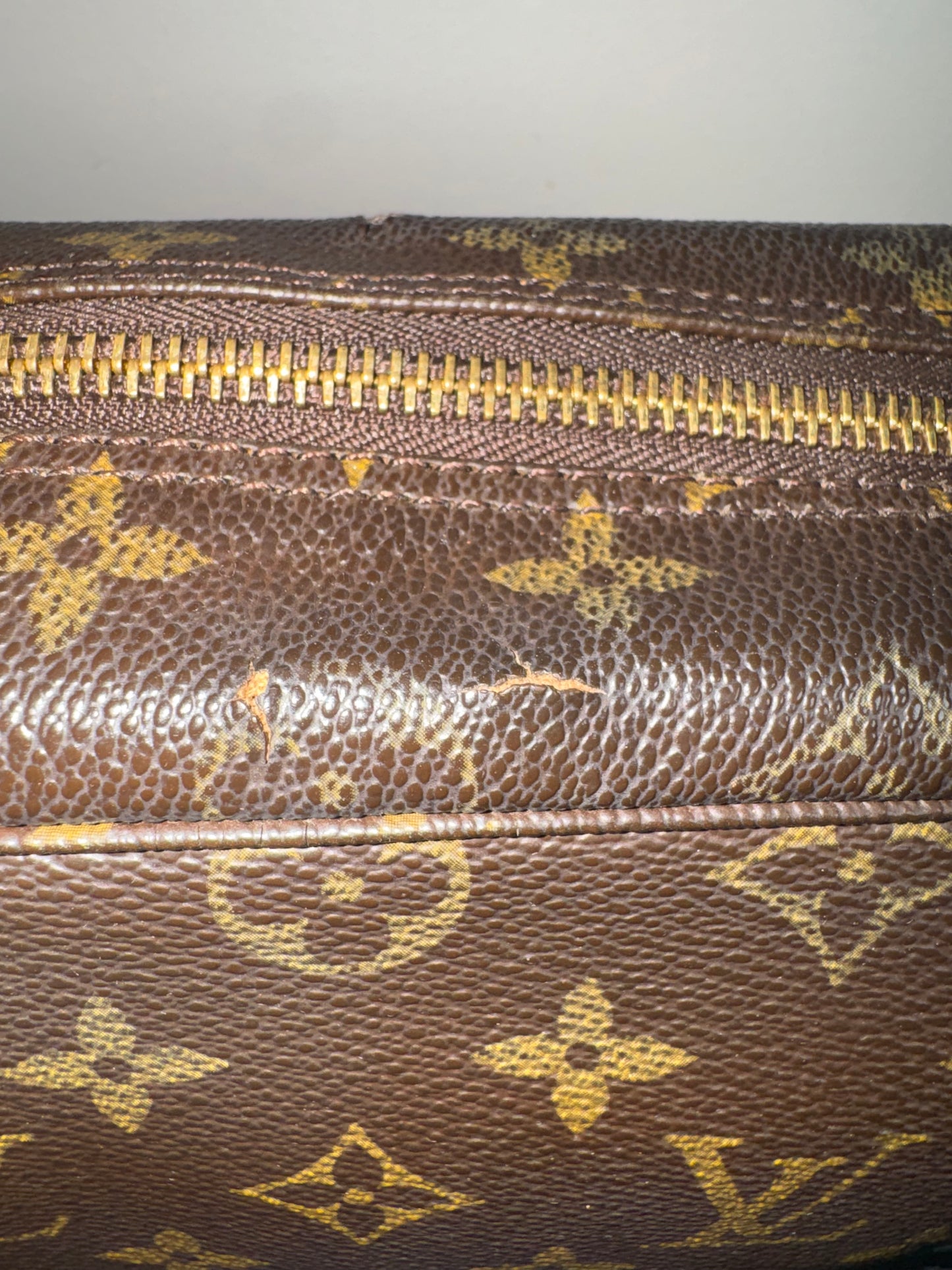 Louis Vuitton Flanerie